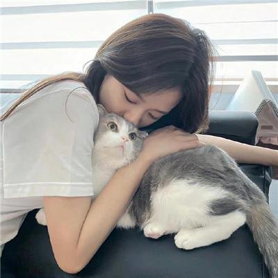 羔羊大律师
